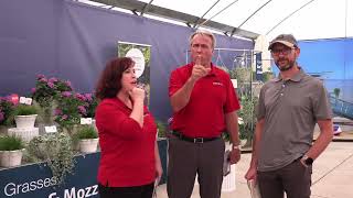 California Spring Trials 2026: Benary