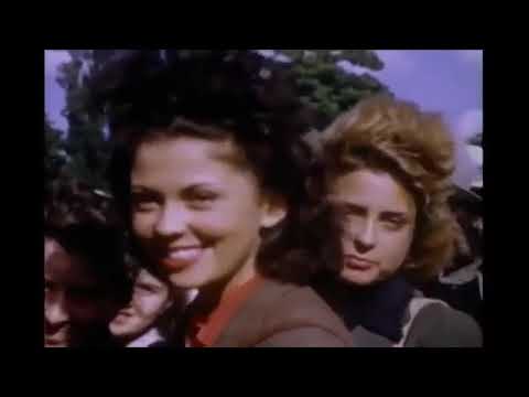 American Experience   Battle of the Bulge