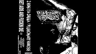PULMONARY FIBROSIS - tracks from 2 MINUTA DREKA split tape