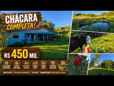 [1133] CHÁCARA EM ROLANTE 9 HA ESCRITURA CASA GALPÃO AÇUDES CAMPO ROÇA POMAR R$ 450 MIL #chacara