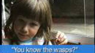 The Wasps