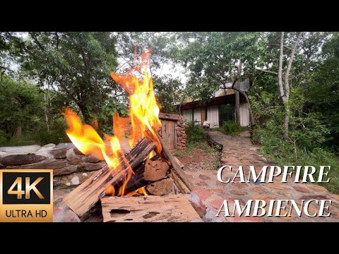 4K Campfire Ambience at a Cabin Deep in a Forest in South Africa - Relaxing Fire & Nature Sounds