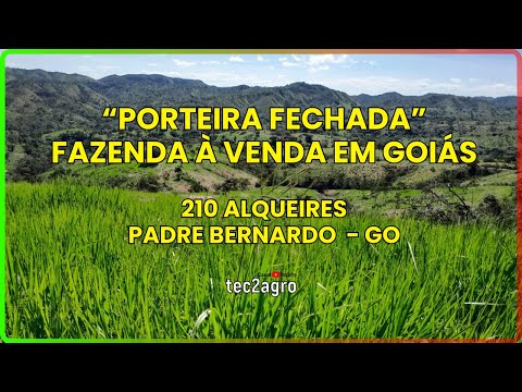 🌱 PORTEIRA FECHADA - Padre Bernardo - FAZENDA À VENDA EM GOIÁS [DUPLA APTIDÃO] #fazenda #tec2agro