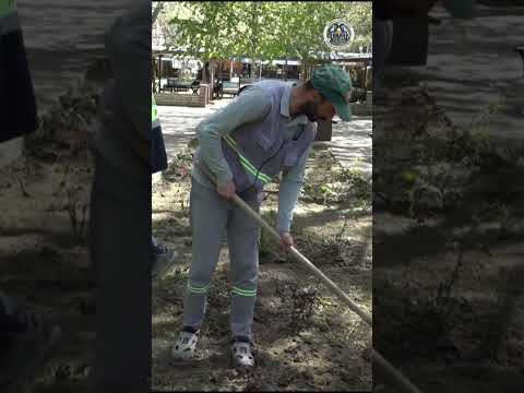 Park ve yeşil alanlarda çalışmalarımız devam ediyor. 19 04 2024