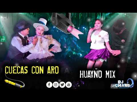 CUECAS CON ARO HUAYÑO MIX DJ RICHARD