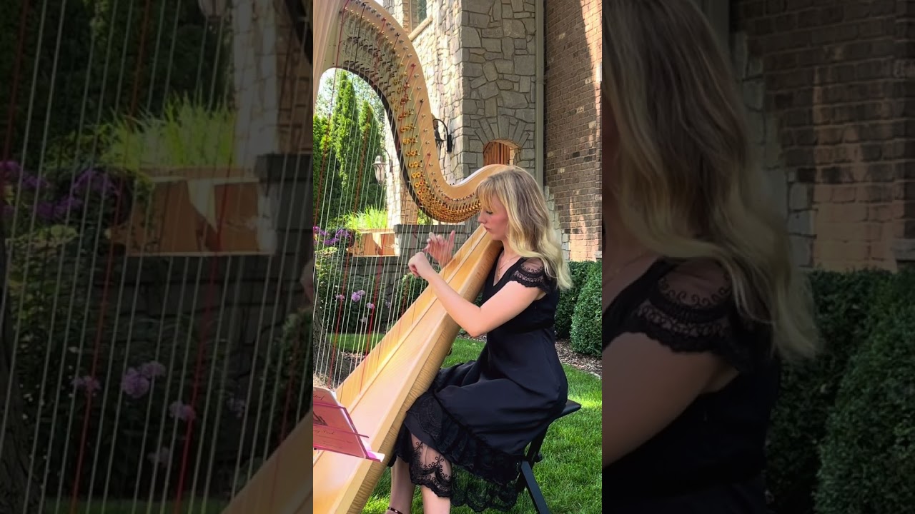 Promotional video thumbnail 5 for Chicago Harpist Anya Pasowicz
