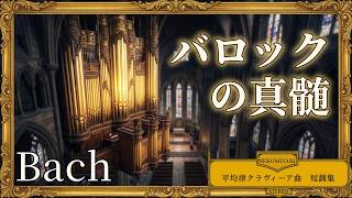 Download lagu 【415Hz】バッハ平均律をパイプオルガンで聴く至福｜BWV853, 849他：脳を浄化する魂の旋律集 | Tuning the Soul: 415Hz Bach for Mental Clarity mp3