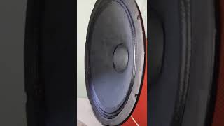 Skytec 15 inch subwoofer Bass Test