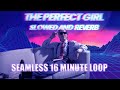 Mareux The Perfect Girl Retrowave Synthwave Cover Slowed Reverb SEAMLESS 16 MINUTE LOOP