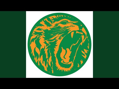 Freedom Fighter (Dub Mix)