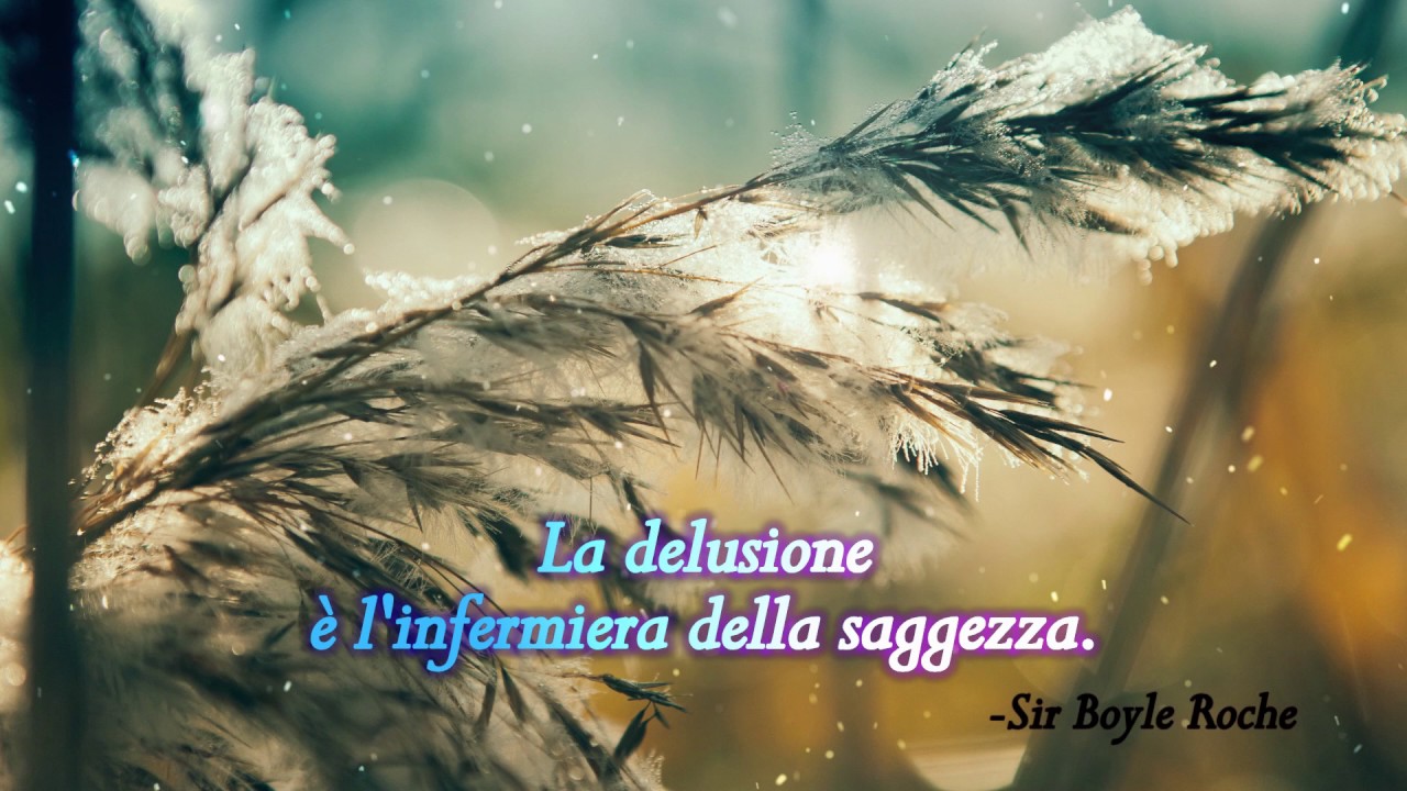 FRASI SULLA DELUSIONE