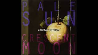 Cowboy Junkies - 10 - Hard To Explain - Pale Sun Crescent Moon