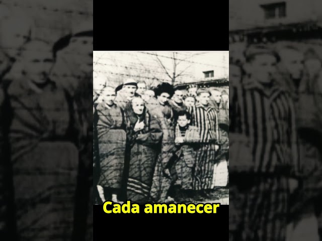 Vídeo relacionado con De dochter van Auschwitz: Ik was een van de jongste overlevenden van Auschwitz. Dit is mijn verhaal.