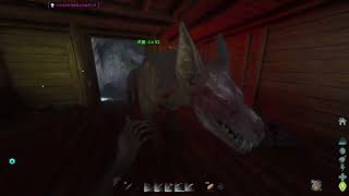 ARK Survival Ascended 疲れた現実世界からの逃避行 #7