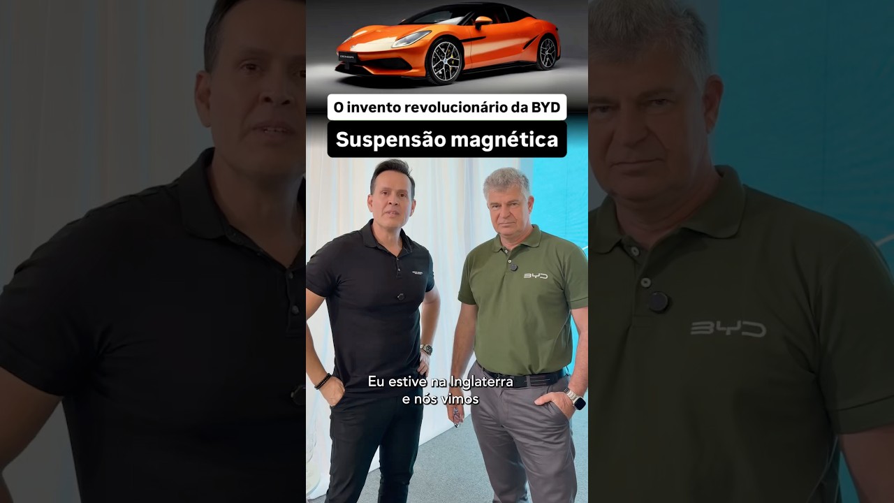 Suspensão magnética