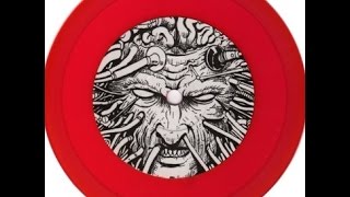 AGORAPHOBIC NOSEBLEED/INSECT WARFARE - 5 Band Genetic Equalizer Pt.4 Split EP (2008)