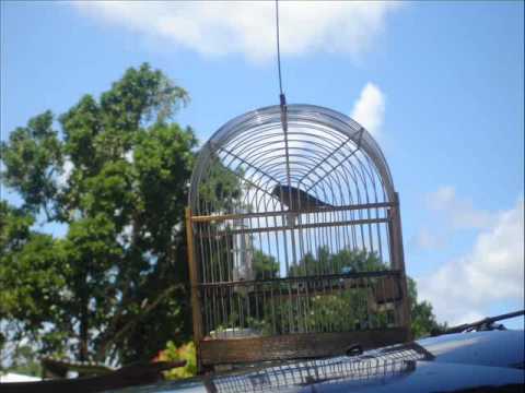 Ex Masters : Soul Medley