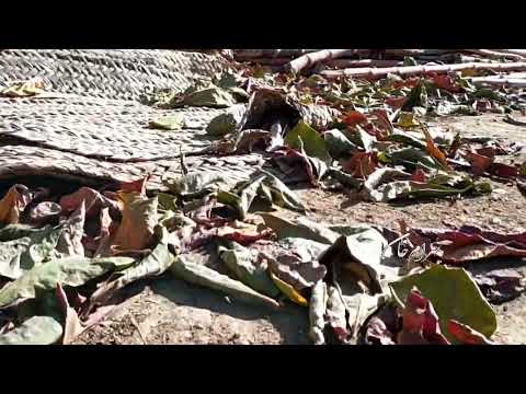 Mosum o gorecha turbat cho kota   3 minutes unedit vlog