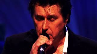 Bryan Ferry - Make You Feel My Love (Live St Luke&#39;s London 2007)