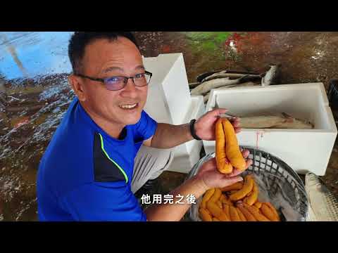 113 漁業署 光合菌計畫成果影片