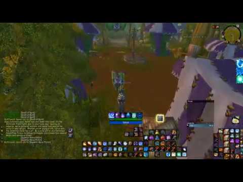 Elwynn Forest Darkmoon Faire Sayge's Dark Fortune of Damage 10% Buff Wow Classic