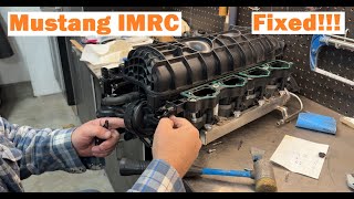 2015-2017 Mustang GT IMRC Part 2