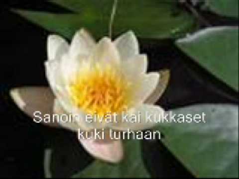 Normaali Eppu: Rannalla vihreän joen