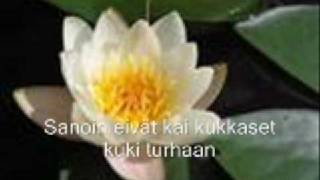 Normaali Eppu: Rannalla vihreän joen