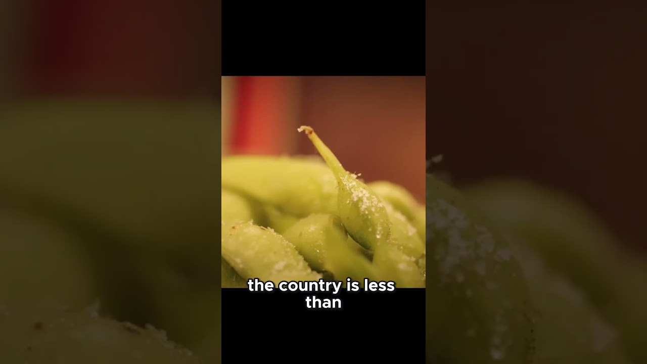 Japan's Salaries Are So Low!