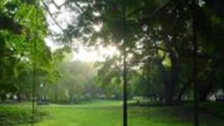 Over the Rainbow (Full Version) - Eva Cassidy (Live at Pearl&#39;s)