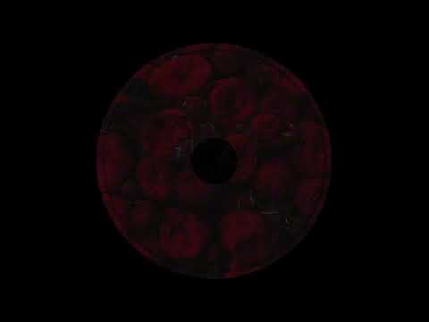 [FREE] DRAKE X TORY LANEZ TYPE BEAT - "BLACK ROSE" | POP SMOOTH RNB