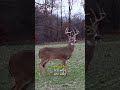 An Average Late Season Deer Hunt