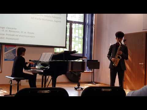 LUKA RELIĆ - Concerto II. i III.st. (Binge)