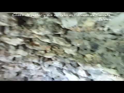 Interior de chozo de pastor y sus corrales en Población de Cerrato.