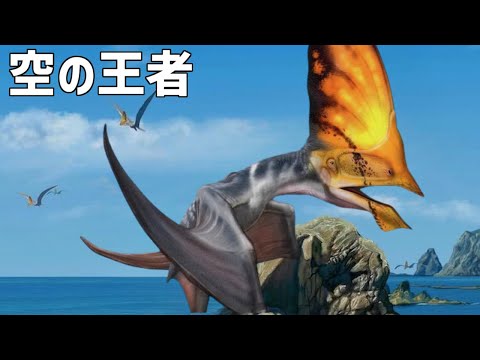 IUCN分類における絶滅の危険性を示す図。