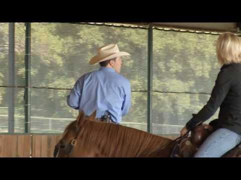 Texas Horse Report Reining Training Session