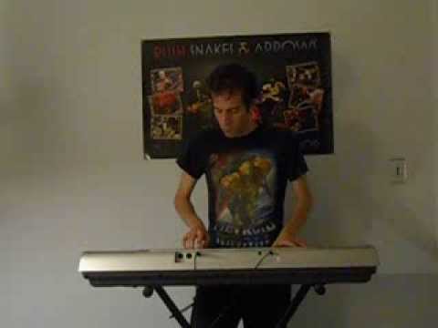 Metroid Prime - Phendrana Drifts VGM (keyboard cover)