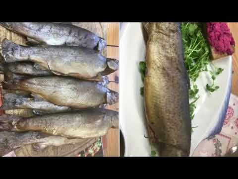 Spreewald Fisch & Gemüse