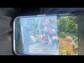 Barney Friends Hoo S In The Forest Leapfrog Jump Scene 1993