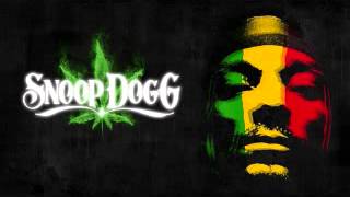 Snoop Dogg - Snoop Dogg Millionaire (SiriuS Dubstep Remix)