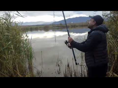 Ribolov na Smilkovsko Ezero-2022/part/467 1/2 del burleski drsko bezobrazno/Ribar Belvicar