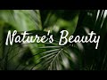 Nature S Beauty Relaxing Music Meditation Music Stress Relief Music Healing Music