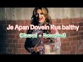 Je Apan Dovein Rus Baithy Official Music Video Slowed And Reverbed Naseebo Lal Punjabi Song