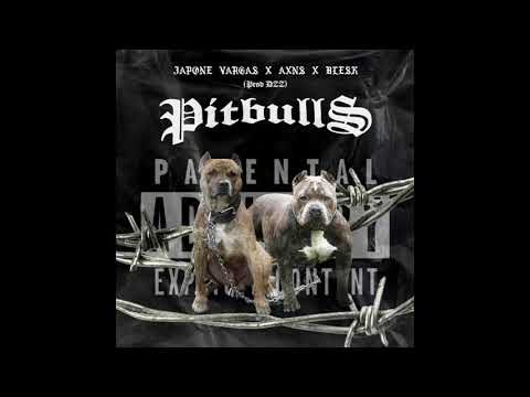 AXN$ - pitbulls ft Japone Vargas X Blesk (Dzz prod.)