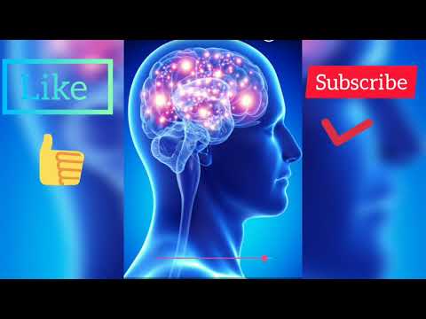 Brain Healing Sound | binaural beats | meditation video | music4relax😇