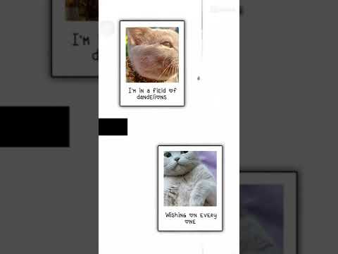 "Wishing ♡n every ♡ne that y♡u'll b♡ min♡