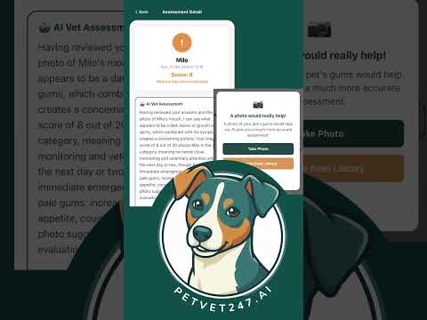 Pet Vet 247 - AI Pet Health