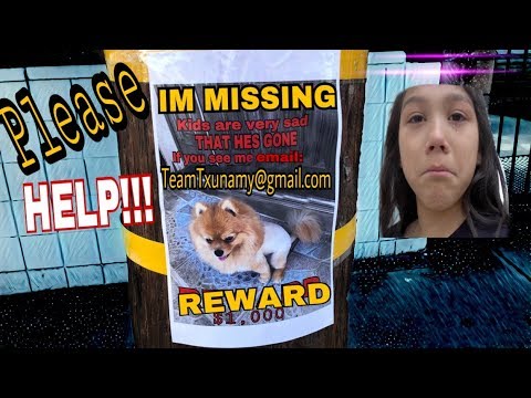 WE STILL HAVEN'T FOUND OUR PUPPY!! Please HELP us find March...Day #15!!! | Familia Diamond Video