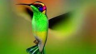 El Tiempo, pasado, presente y futuro. Cambiar.