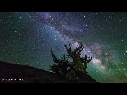 Roy Malakian & C Rouge feat. Bobbi Fallon - Humanity (Alter Light Remix)